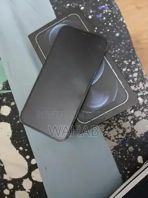 iPhone 12 Pro Max 256GB Unlocked Smartphone Blue