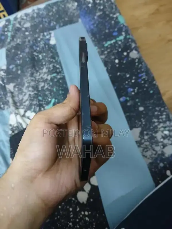 iPhone 12 Pro Max 256GB Unlocked Smartphone Blue