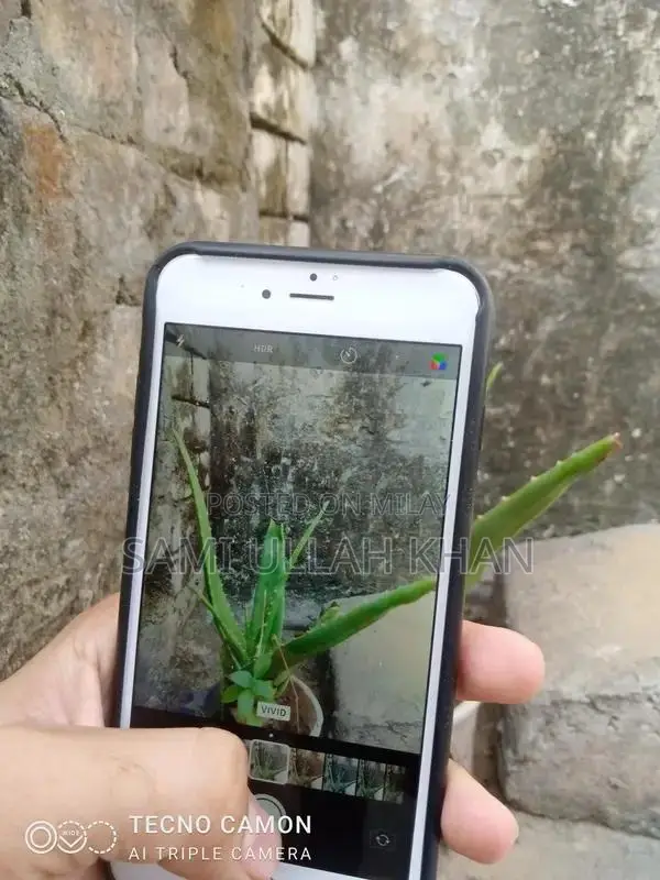 iPhone 6 Plus Smartphone with Partial Functionality