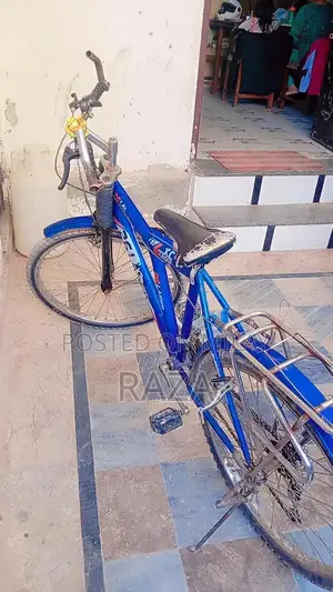 Photo - Used Bicycle with Gear System