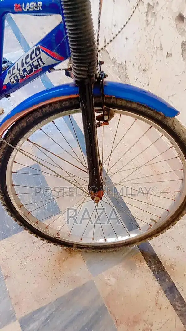 Used Bicycle with Gear System