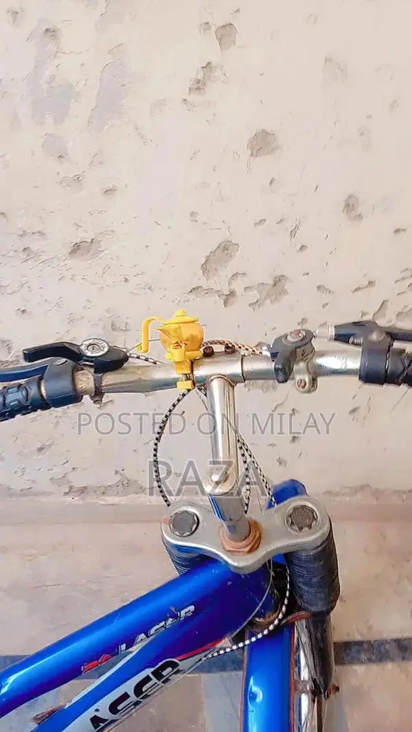 Used Bicycle with Gear System
