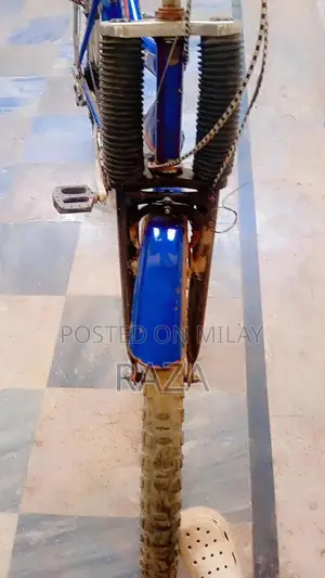 Used Bicycle with Gear System