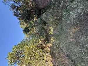 Main Road Property for Sale