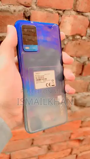 Budget Smartphone with Minor Functional Limitation