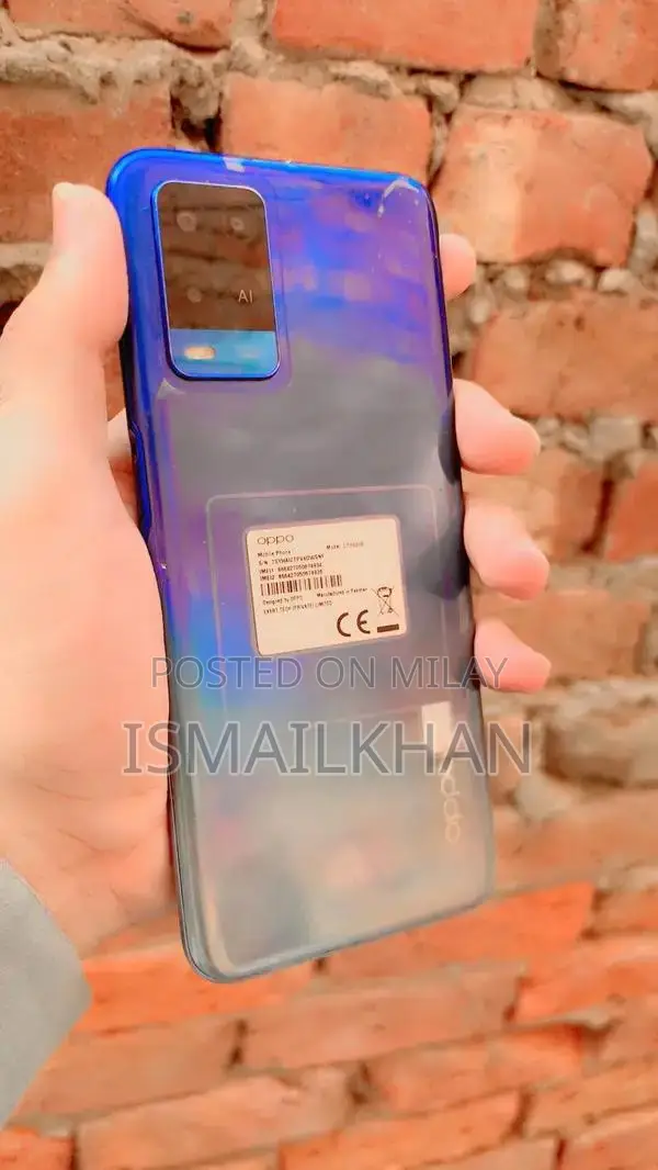 Budget Smartphone with Minor Functional Limitation