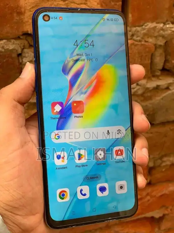 Budget Smartphone with Minor Functional Limitation