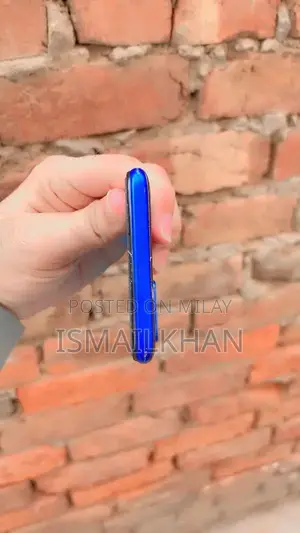 Budget Smartphone with Minor Functional Limitation