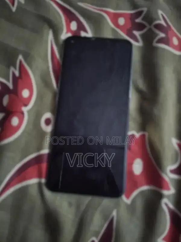 Oppo A96 Smartphone with Panel Replacement