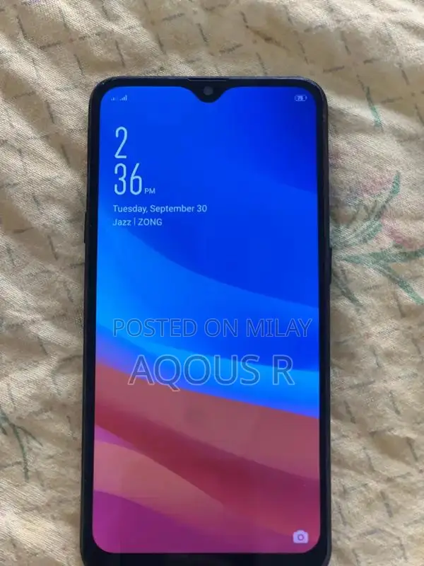 Oppo A5s Budget Smartphone with Dual SIM