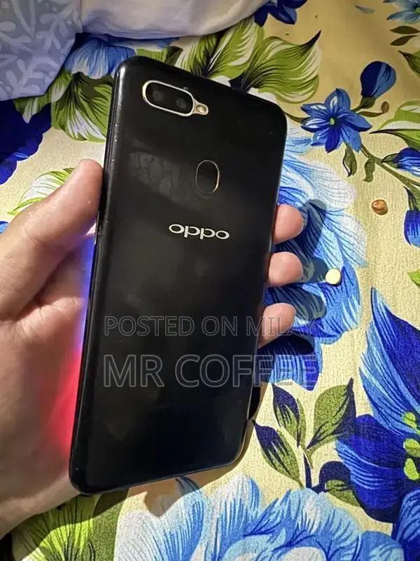 Compact Smartphone with Panel Replacement Option