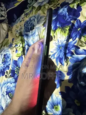 Compact Smartphone with Panel Replacement Option