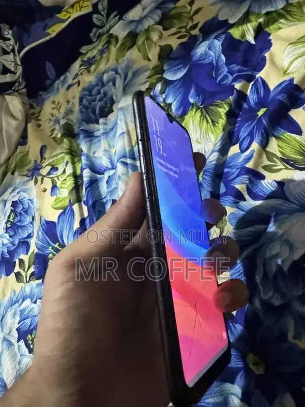 Compact Smartphone with Panel Replacement Option