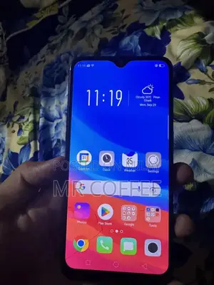 Compact Smartphone with Panel Replacement Option