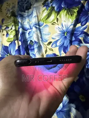 Compact Smartphone with Panel Replacement Option