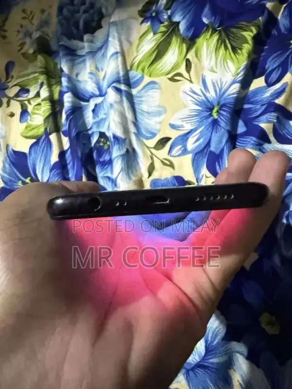 Compact Smartphone with Panel Replacement Option