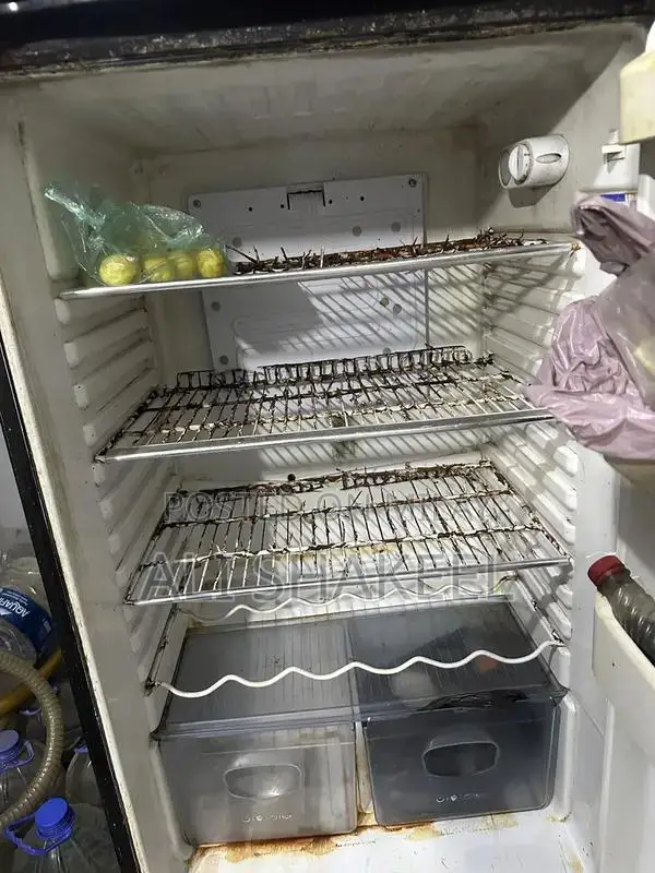 Orient Full-Size Refrigerator with Cooling Functionality
