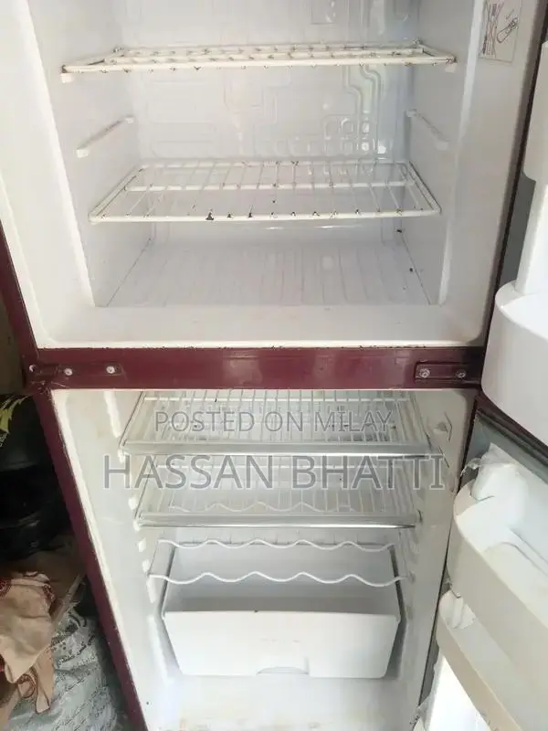 Orient Glass Door Refrigerator - Premium Compact Fridge