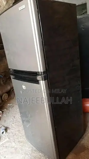 DC Inverter Refrigerator with Advanced Cooling Technology