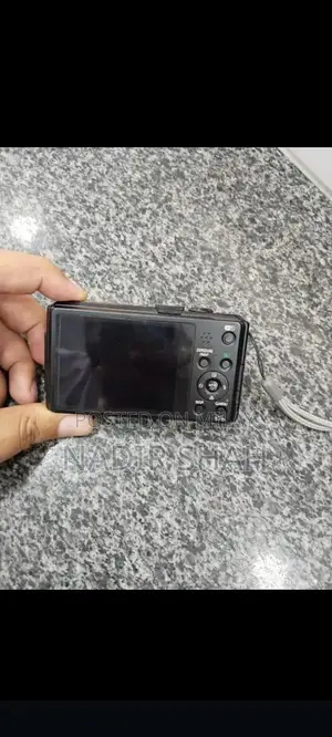 Panasonic Lumix ZS30 Digital Camera - Compact Travel Photography