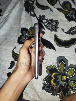 256GB Smartphone with Panel Battery Replacement