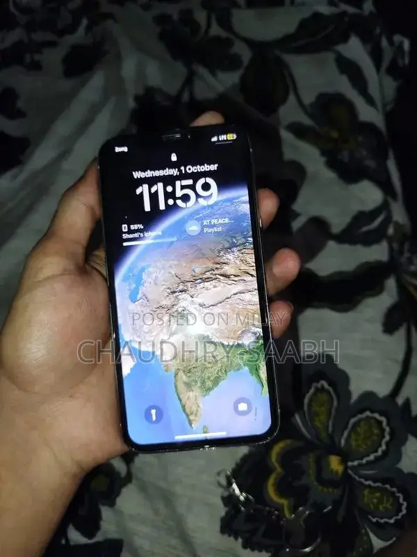 256GB Smartphone with Panel Battery Replacement