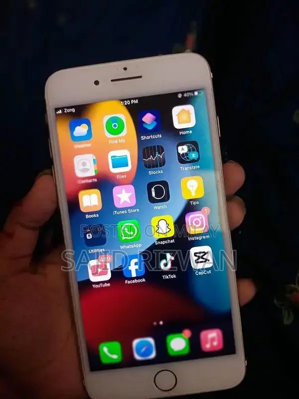 256GB Apple Smartphone with Excellent Battery and Fingerprint