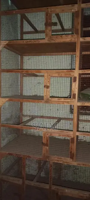 Spacious Parrot Cage for Pet Bird Housing