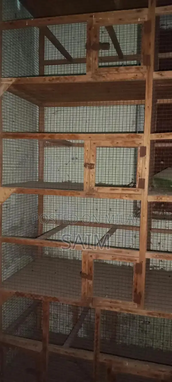 Spacious Parrot Cage for Pet Bird Housing