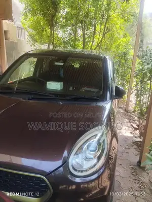 Passo Moda Vehicle with Multiple Door Options