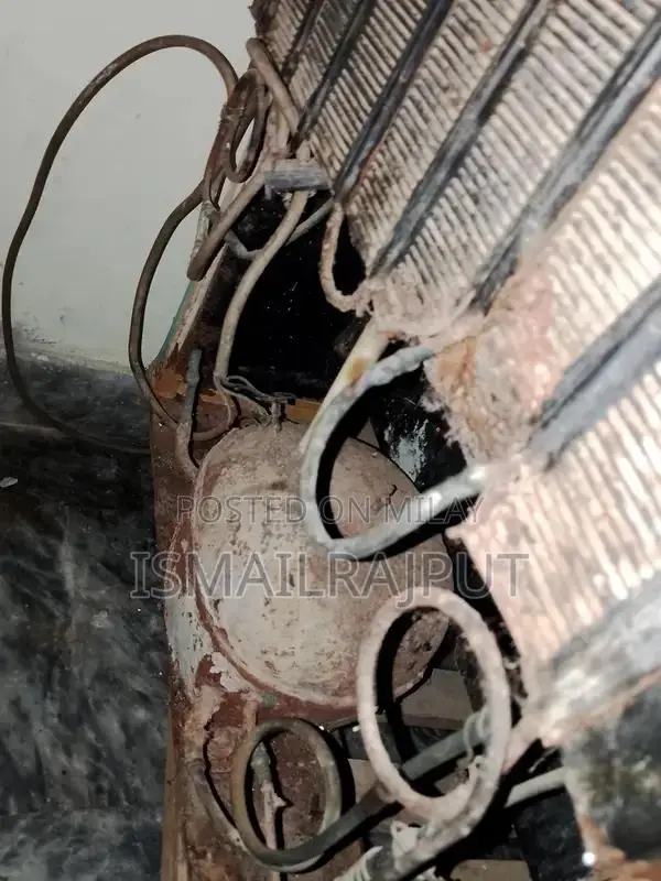 PEL Large Freezer - 10 by 8 Capacity with Gas Cooling