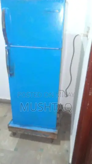 Pell Company Refrigerator - Efficient Cooling Appliance