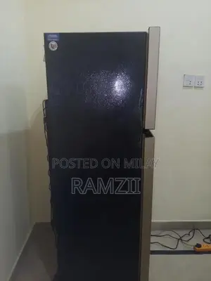 Dawlance Echrome Refrigerator with Freezer Compartment