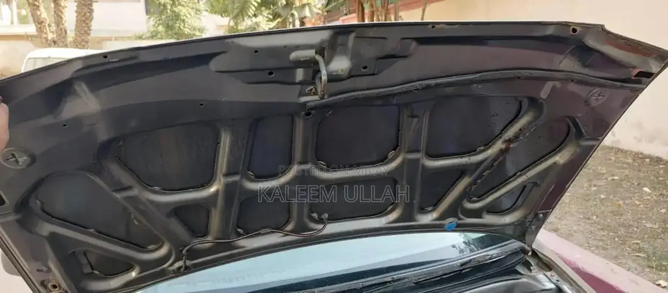 Automotive Vehicle with CNG Engine and Efficient Performance