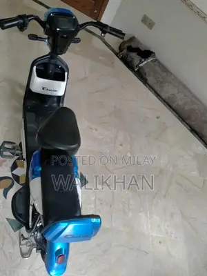 Electric Bike Classic Model - Imported from Dubai