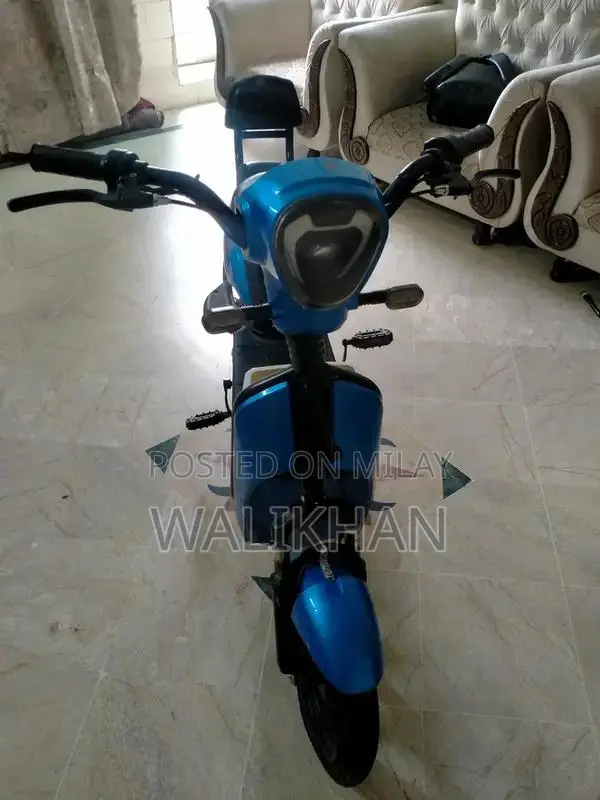 Electric Bike Classic Model - Imported from Dubai