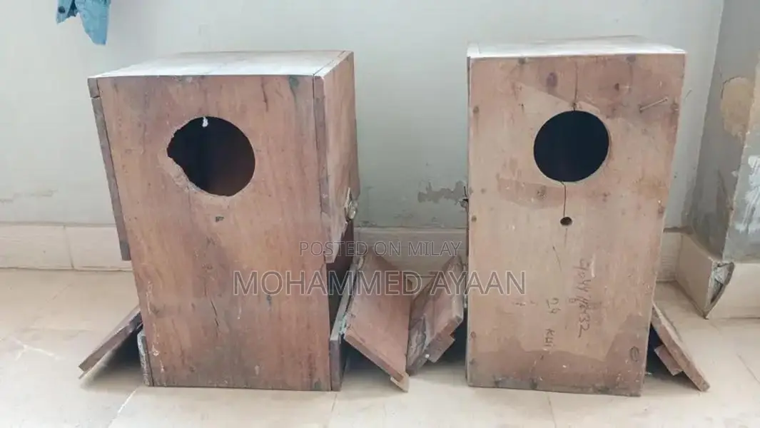 Ringneck Breeding Box Wooden Cage