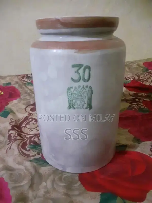 Professional Martban Kitchen Blender