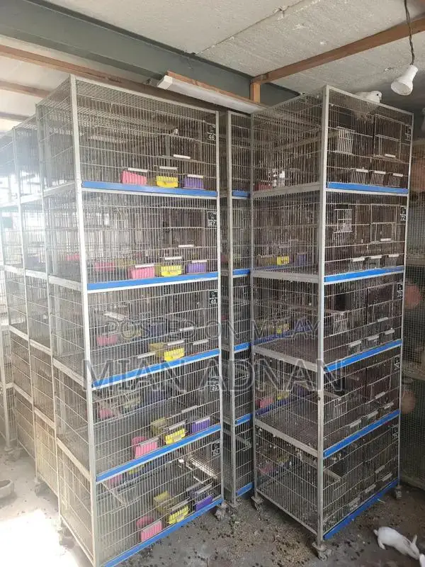 5-Month Used Bird Cage with 5 Portions