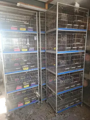 5-Month Used Bird Cage with 5 Portions