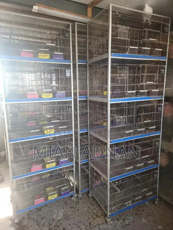 5-Month Used Bird Cage with 5 Portions