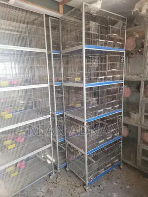 5-Month Used Bird Cage with 5 Portions