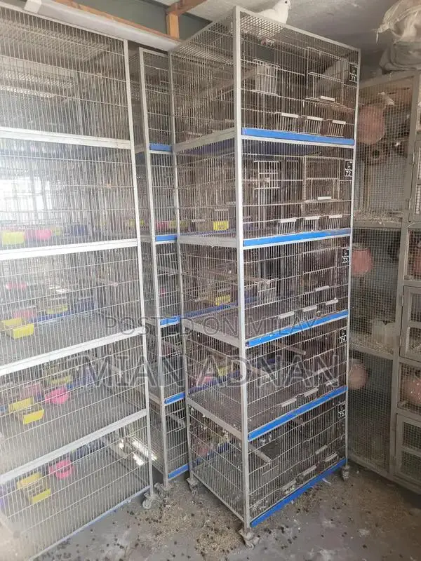 5-Month Used Bird Cage with 5 Portions