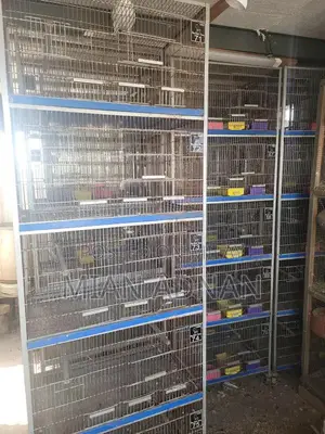 5-Month Used Bird Cage with 5 Portions