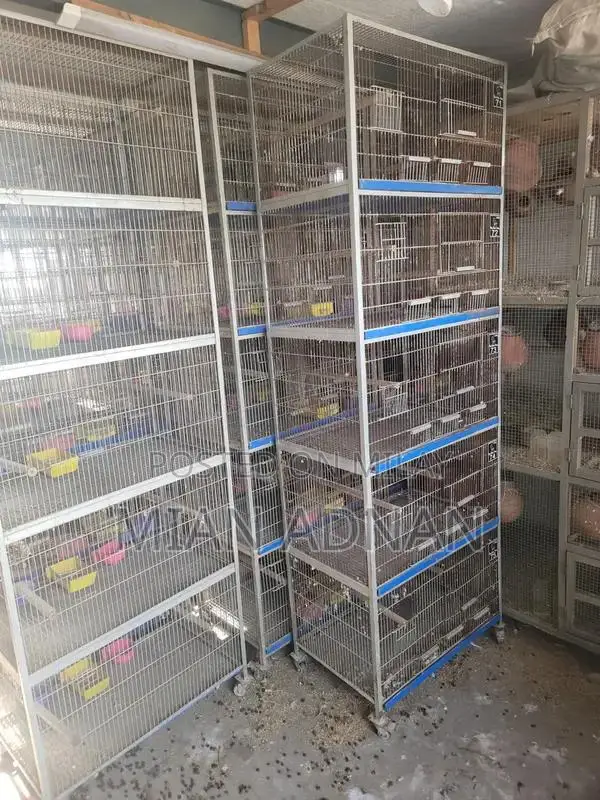 5-Month Used Bird Cage with 5 Portions
