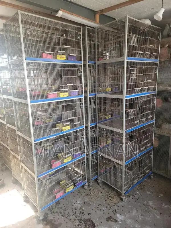 5-Month Used Bird Cage with 5 Portions