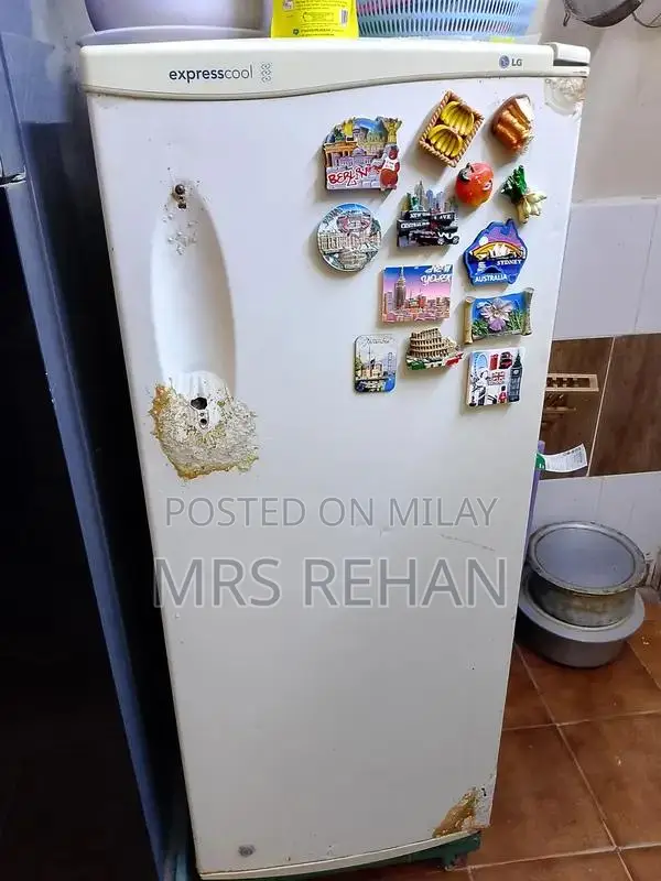 LG Medium White-Grey 6-Compartment Freezer with Door Pockets