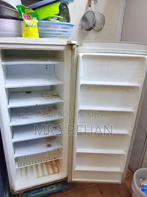 LG Medium White-Grey 6-Compartment Freezer with Door Pockets