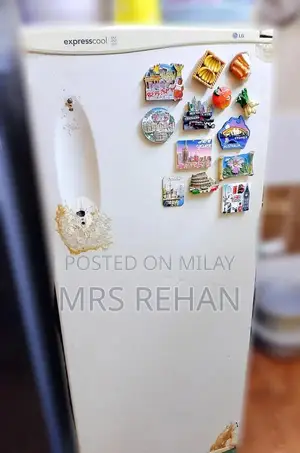 LG Medium White-Grey 6-Compartment Freezer with Door Pockets