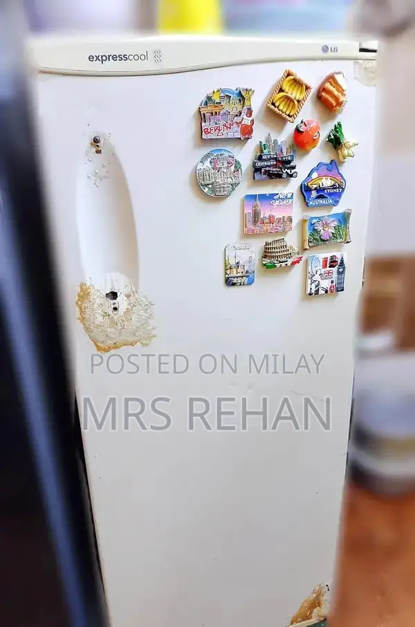 LG Medium White-Grey 6-Compartment Freezer with Door Pockets